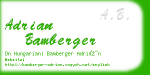 adrian bamberger business card